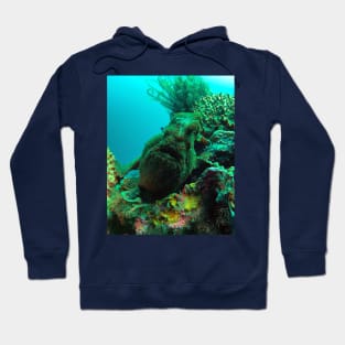 Giant Green Frogfish Hoodie